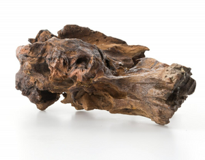 Oudh 